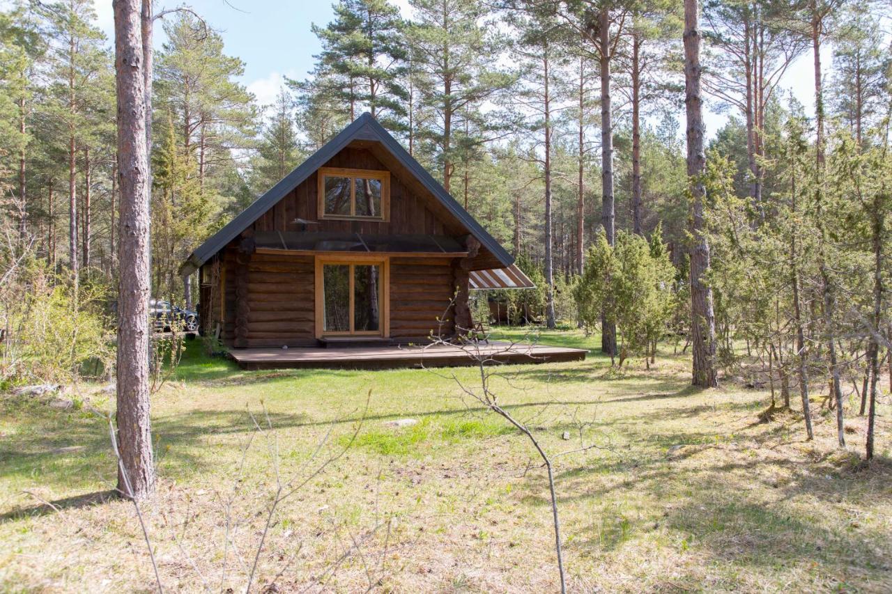 Pootsmani Maja Villa Paatsalu Ngoại thất bức ảnh